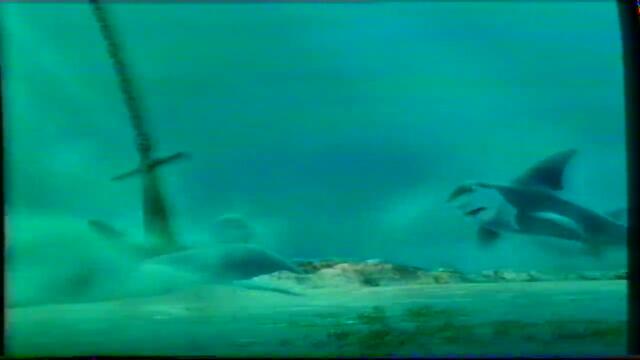 История с акули (2004) (бг субтитри) (част 2) VHS Rip Prooptiki Bulgaria 2005