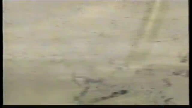 Бионикъл 2: Легенда за Метру Нуи (2004) (бг аудио) (част 2) VHS Rip Александра видео