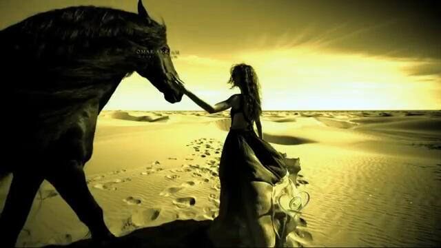 Пясъци в Сахара! DESERT DREAM