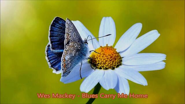Wes Mackey Blues Carry Me Home