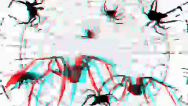 3D Spider in Stereo 3D