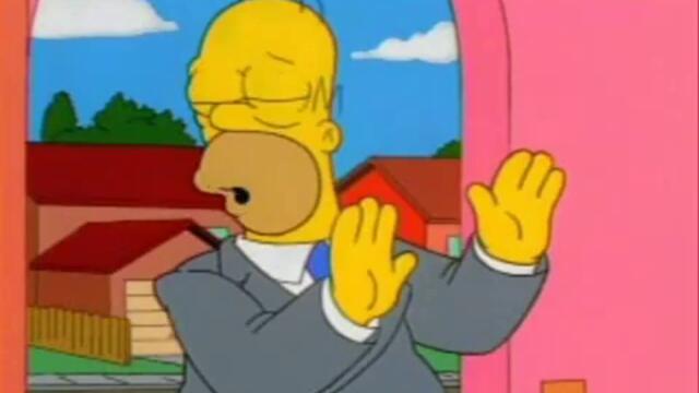 Homer Simpson - Afroman - Because I Got High