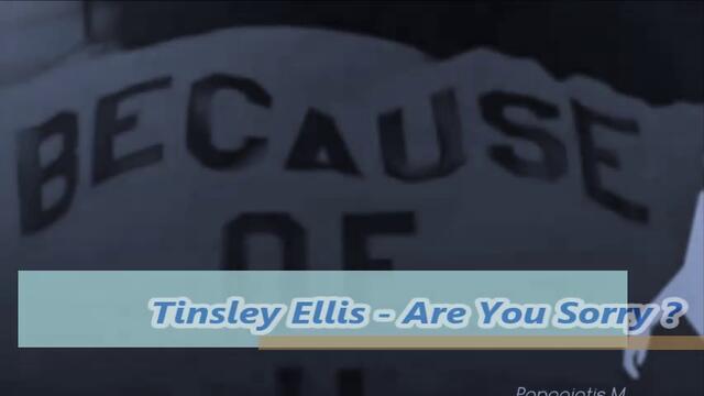Tinsley Ellis - Are You Sorry ?  / С ВГРАДЕНИ BG СУБТИТРИ