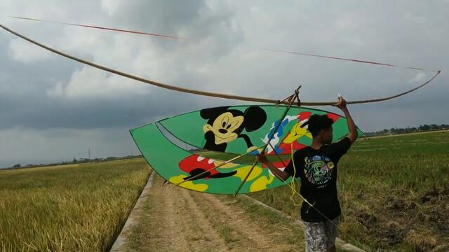 PLAYING KITES MICKEY MOUSE AND DONALD DUCK