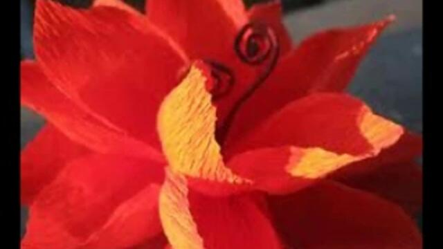 Аленото цвете - Страна 1 - аудиодраматизация