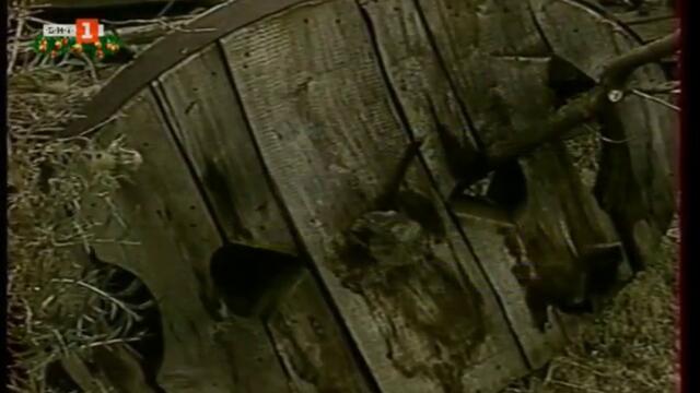 Честна мускетарска (1994) (част 1) TV Rip БНТ 1 02.01.2021