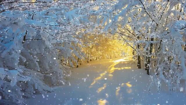 ❄️ Зима в гората ... (Музика Сергей Чекалин) ❄️