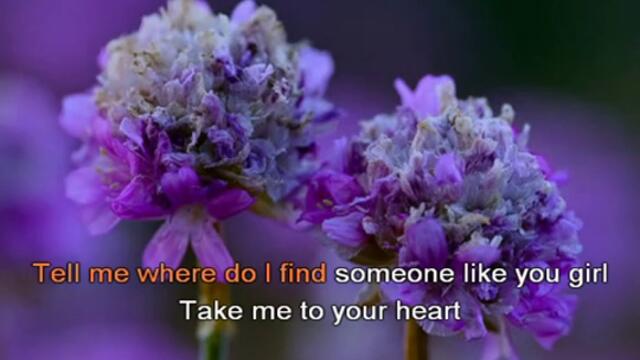 Запази Ме В Сърцето си! - Take Me To Your Heart - 2012 г.