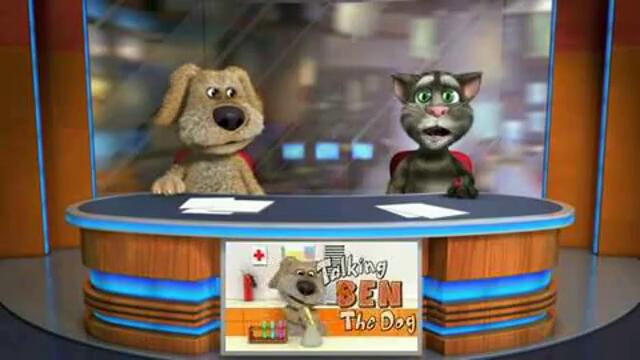 Говорещото Коте Том - Телевизионен водещ на новини 2013 г.