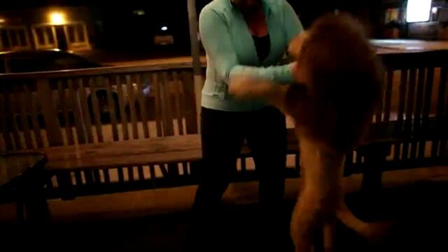 Куче, подстригано като лъв, изплаши цял квартал в САЩ