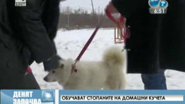 Обучение за собствениците на кучета - 2013 г.