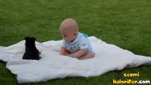 Бебе и куче си играят
