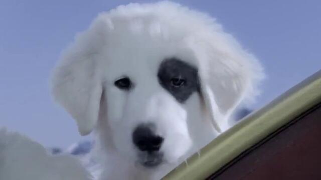 Santa Paws 2 2013 - The Santa Pups Trailer