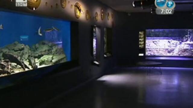 За Денят на Земята Нов аквариум в Дания