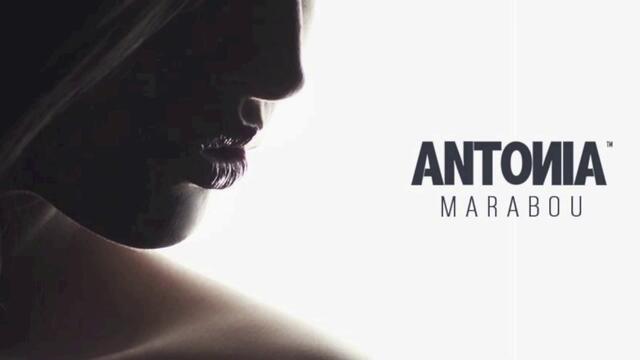 Antonia - Marabou [Lu-K Beats Remix]