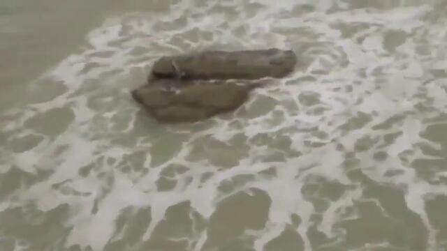 Снимаха истинска Русалка 2013 - Real Mermaid Captured On Camera?