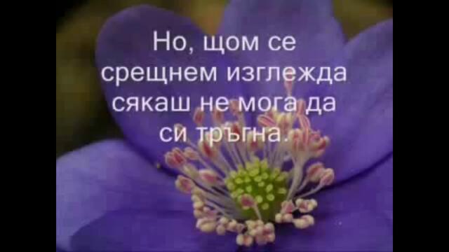 Roxette -Fading like a flower Превод