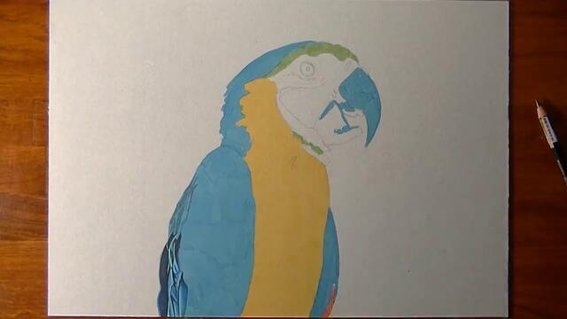 Страхотна реалистична рисунка на папагал!