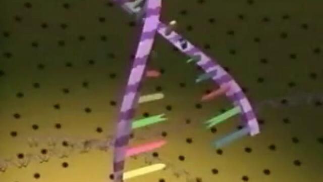 Розалинд Франклин (Rosalind Franklin)и структурата на ДНК - Английски биофизик в Google 2013