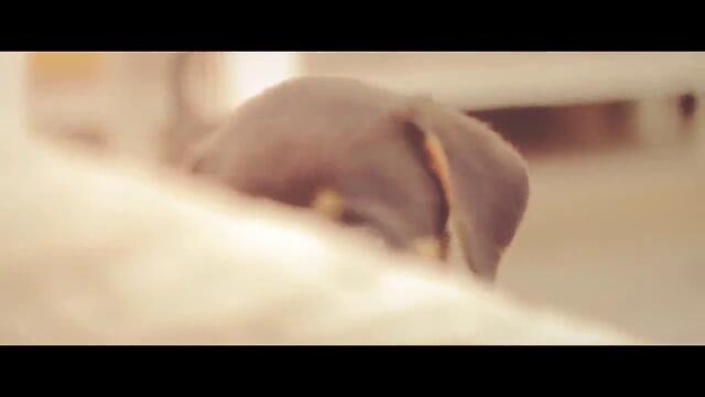 премиера Бате Сашо - Summa Daze (official video)2013
