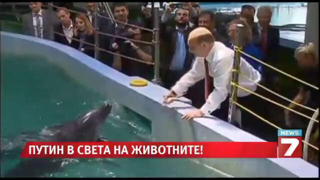 Путин на среща с делфини и тигри