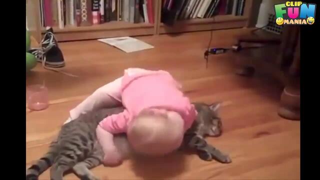 Сладко бебе си играе с котка