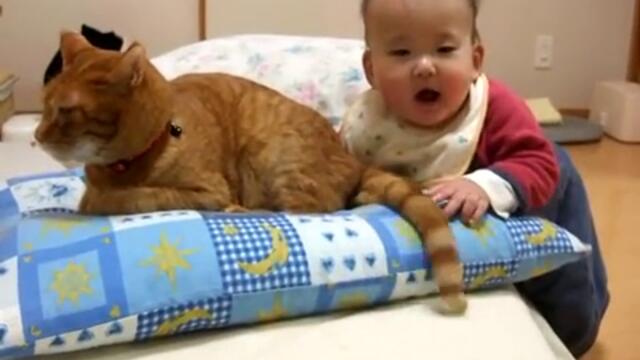 Бебе хваща котка за опашката