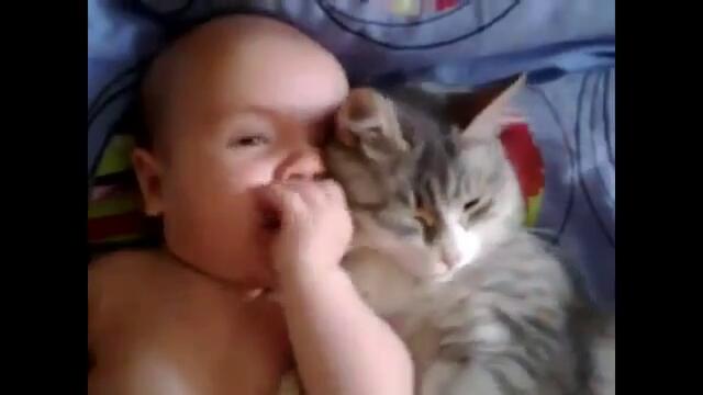 Коте гушка бебе ...