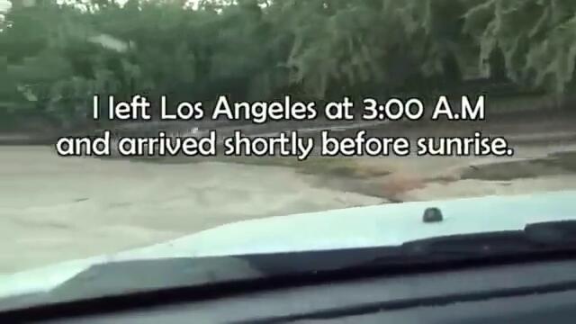 Видео което ще ви трогне .. Мъж спасява малки кученца след като майка им бива ударена от автомобил .