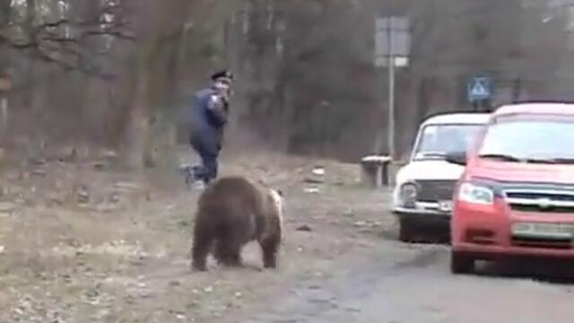Руска мечка на магистралата