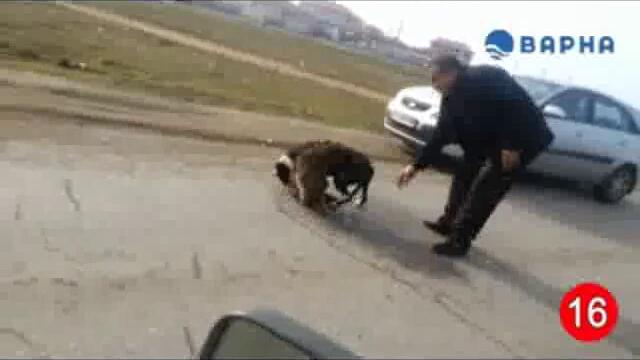 Насъскан от циганин питбул разкъса бездомно куче