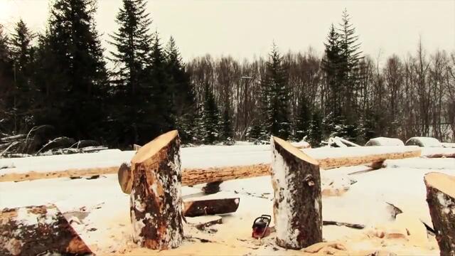 Страхотно ... Сибирски хъскита направени от дърво с моторна резачка