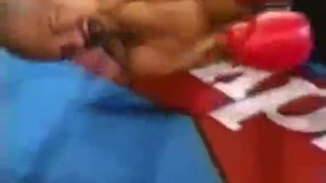 Roy Jones Jr Highlight - Can_t be touched