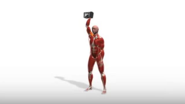 Exercise Videos- Single PowerBlock Overhead Squat