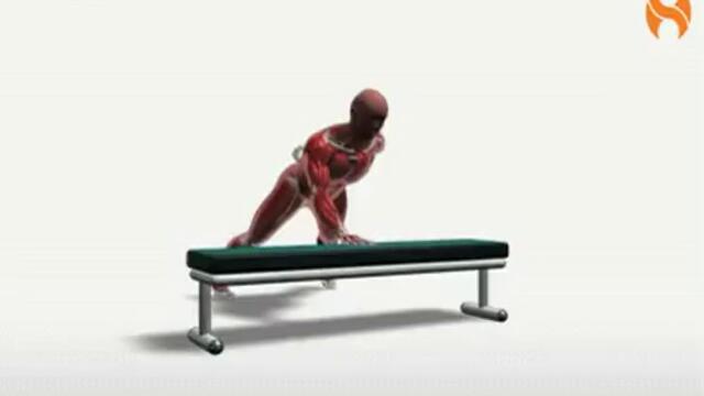 Exercise Videos- Single Arm PushUp -- Bench