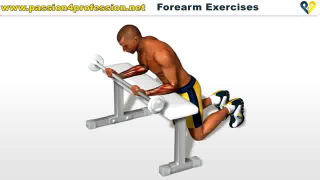 Forearm Exercises Wrist Curls