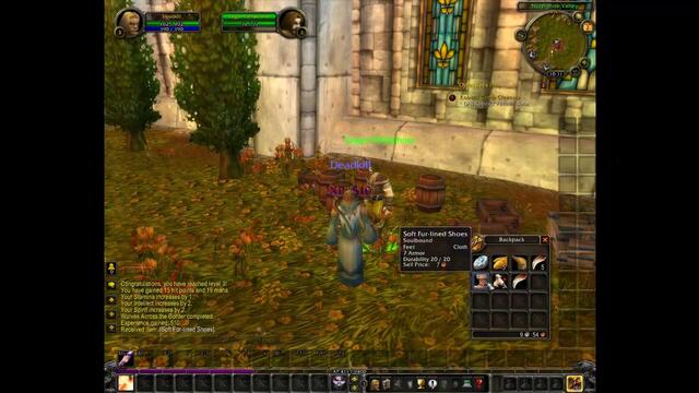World of Warcraft Урок за начинаещи част 2