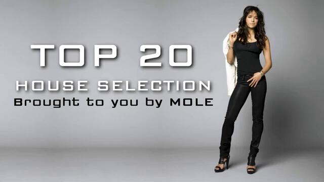 HOUSE BEST TOP 20 Electro-House 2011 AUGUST