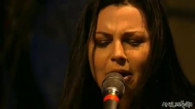 Evanescence - Call Me When You`re Sober  (live)
