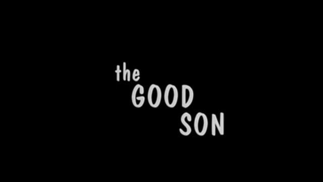 Добрият син (1993)