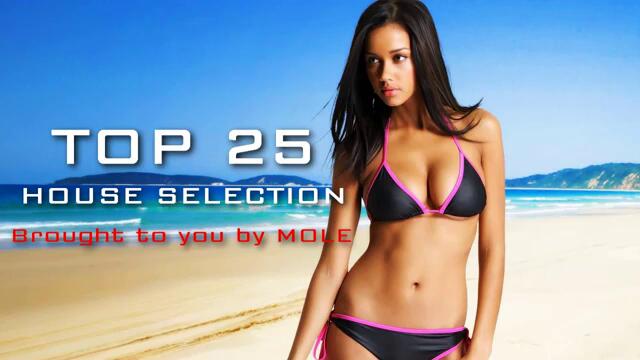 House Best Top 25 Electro - house 2011 September