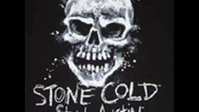Stone_Cold_Theme_Song