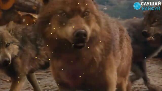 ПЕСНЯ ДО ГЛУБИНЫ ДУШИ! Вы только послушайте!