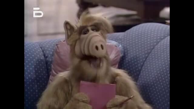 ALF.1x15.bTVRip.XviD-G