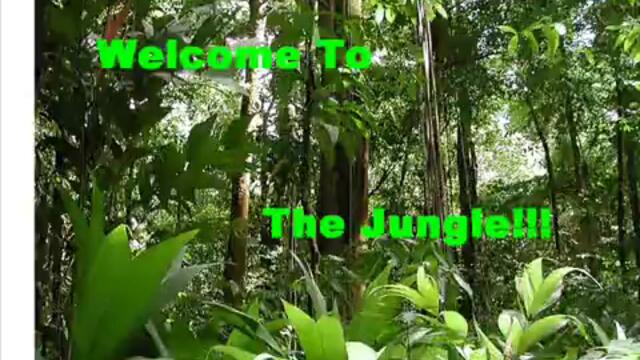 Drumsound _ Simon Bassline Smith - Welcome To The Jungle.flv