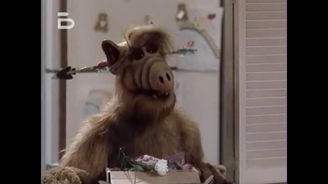 ALF.1x20.DVBRip.XviD-GT