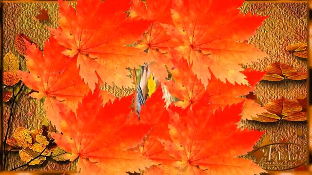 ОСЕНЬ ! Я ЕГО ДАВНО ПРОСТИЛА ЗА ПРЕДАТЕЛЬСТВО И ЛОЖЬ !