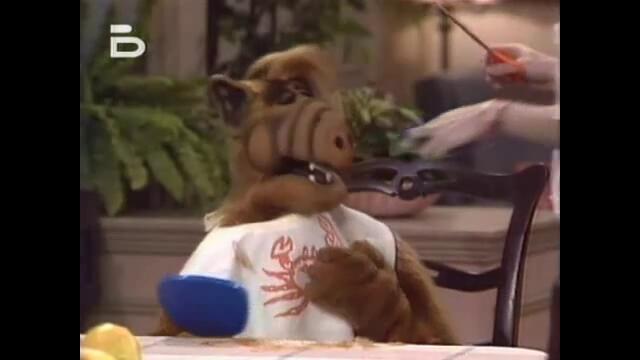 ALF.2x17.bTVRip.XviD-G