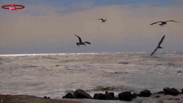 А. Тиханович и Я. Поплавская  -  Спускается над озером закат!