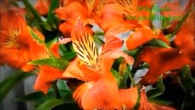 А НАМ СЕГОДНЯ ПЯТЬДЕСЯТ